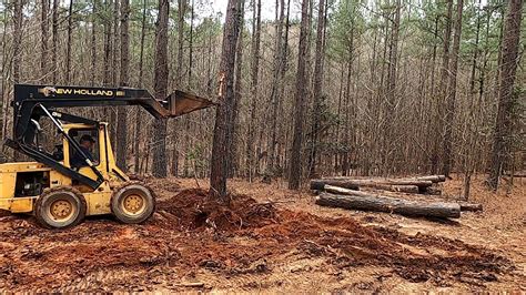 pushing trees with skid steer|pushing over pine trees.